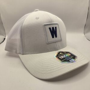 Chicago Cubs Blue & White "W" Hat